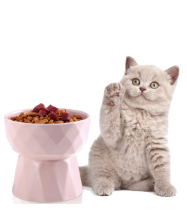 Jemirry Ceramic Cat Food Bowls, Raised Cat Bowls for Food and Water, Non-Slip Elevated Pet Bowl for Cats and Little Dogs, Backflow Prevention, Anti Vomiting, Microwave Dishwasher Freezer Safe (Pink)