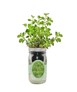 Environet Hydroponic Herb growing Kit, Self-Watering Mason Jar Herb garden Starter Kit Indoor, grow Your Own Herbs from Organic Seeds (Oregano)