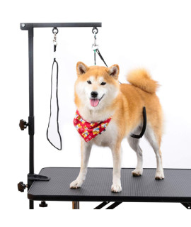 Breeze Touch Dog Grooming Arm - 35 Dog Grooming Table Arm with Clamp and Post, Loop Noose, No Sit Haunch Holder Grooming Restraint for Small & Medium Dogs