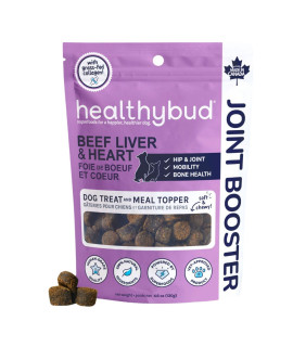 healthybud Hip and Joint Supplement Dog Treats - Glucosamine Soft Beef Liver Bites for Senior Dogs, Arthritis Support 4.6oz