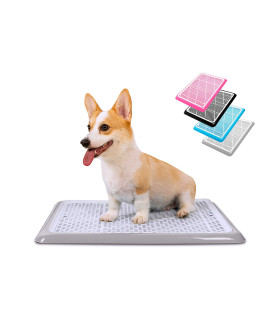 Pet Awesome Dog Potty Tray/Puppy Pee Pad Holder 25x20 Indoor Wee Training for Small and Medium Dogs