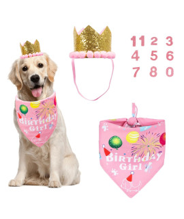 ADOGGYGO Dog Bandana Hat Set for Birthday Party Supply, Boy Girl Puppy Birthday Scarf for Small Medium Dog (Pink Scarf & Crown)