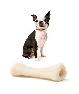 PETSLA Dog Toy for Aggressive Chewers Small Breed Durable Dog Chew Toy Made with Hard Nylon Tough Dog Toy for Small Dogs and Teething Puppies (The Bone, Dogs up to 22 lb)