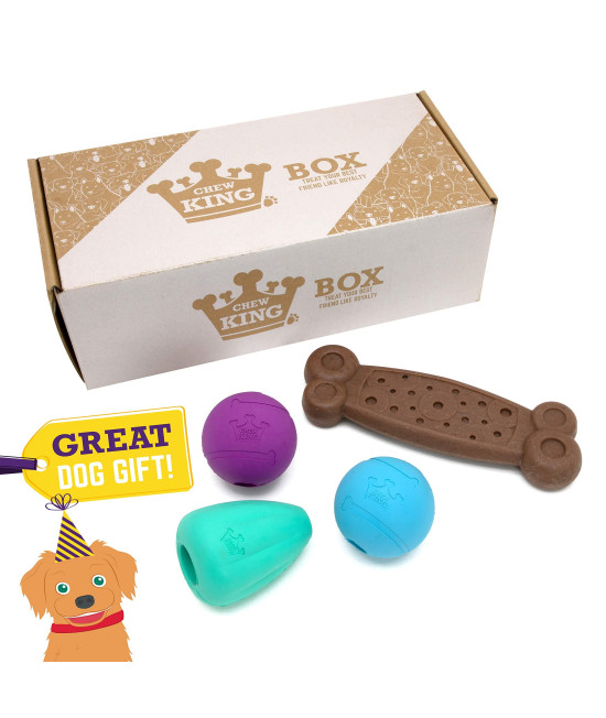 Chew King Dog Box Medium- Durable Fetch Balls, Treater and Chewing Toy Collection, Teal (CM-10099-CS01)
