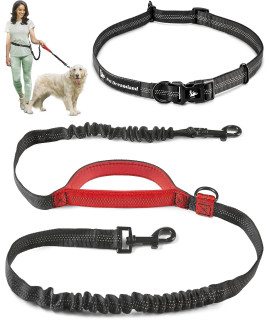 Hands Free Retractable Leash for Large Dogs | Around Waist Leash for Dog Running, Walking, Jogging and Training | Bungee Service Dog Hands Free Leash with Adjustable Belt | Hiking Leash for Large Dogs
