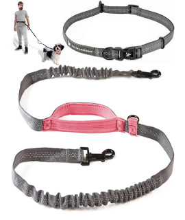 Exquisite Adjustable Hands Free Dog Leash for Small Dogs | Waist Leash for Dog Walking | Dog Running Leash | Hiking Leash for Medium Dogs | Service Dog Leash Belt | Dog Walking Accessories