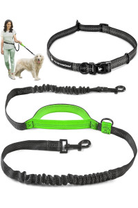 Retractable Hands Free Dog Leash for Running | Around Waist Leash for Dog Walking, Jogging and Training | Bungee Service Dog Hands Free Leash with Adjustable Belt | Hiking Leash for Large Dogs
