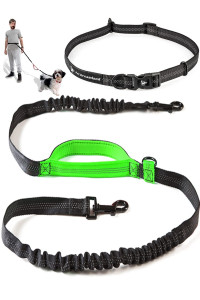 Exquisite Retractable Hands Free Dog Leash for Running | Waist Leash for Dog Walking Small Breeds | Running Leash | Hiking Leash for Medium Dogs | Service Dog Leash Belt | Hands Free Leash