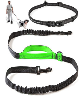 Exquisite Retractable Hands Free Dog Leash for Running | Waist Leash for Dog Walking Small Breeds | Running Leash | Hiking Leash for Medium Dogs | Service Dog Leash Belt | Hands Free Leash