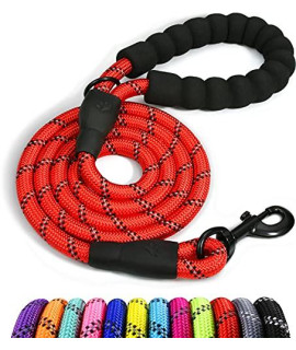 Taglory Rope Dog Leash 4 FT with comfortable Padded Handle, Highly Reflective Threads Dog Leash for Medium Dogs, 38 inch, Red