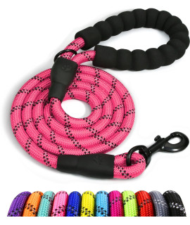 Taglory Rope Dog Leash 5 FT with comfortable Padded Handle, Highly Reflective Threads Dog Leash for Large Dogs, 12 inch, Pink