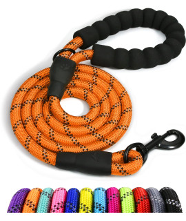 Taglory Rope Dog Leash 4 FT with comfortable Padded Handle, Highly Reflective Threads Dog Leash for Medium Dogs, 38 inch, Orange