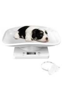 YTCYKJ Digital Pet Scale, Multi-Function LED Scale Digital Weight with Height Tray Measure Accurately, Perfect for Puppy/Kitty/Hamster/Hedgehog/Food, Capacity up to 22 lb, Length 11inch