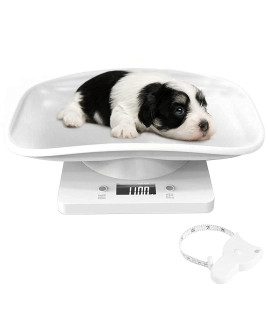 YTCYKJ Digital Pet Scale, Multi-Function LED Scale Digital Weight with Height Tray Measure Accurately, Perfect for Puppy/Kitty/Hamster/Hedgehog/Food, Capacity up to 22 lb, Length 11inch