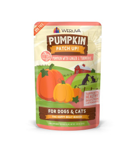 Weruva Pumpkin Patch Up! Pumpkin Pouches for Dogs & Cats