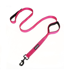 wondertail Two Handles Dog Training Leash,Control Safety Dogs Rope Leashes,Durable Highly Reflective Leashes for Small Medium Large Dogs(Rose red,5ft)