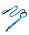 wondertail Two Handles Dog Training Leash,Control Safety Dogs Rope Leashes,Durable Highly Reflective Leashes for Small Medium Large Dogs,5ft (Blue)