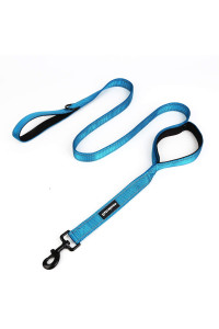 wondertail Two Handles Dog Training Leash,Control Safety Dogs Rope Leashes,Durable Highly Reflective Leashes for Small Medium Large Dogs,5ft (Blue)