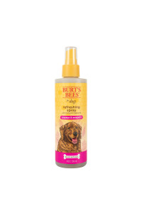 Burt's Bees for Pets Deodorizing Spray & Conditioner with Natural Papaya & Awapuhi Fragrance Burt's Bees Dog Spray - Cruelty Free, Sulfate & Paraben Free, pH Balanced for Dogs - Made in USA, 8 Oz