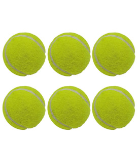 Big game Hunters Double Strength Dog Tennis Ball (20 Ball Pack)