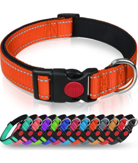 Taglory Reflective Dog collar with Safety Locking Buckle, Adjustable Nylon Pet collars for Puppy Dogs Female Male, XS, Orange