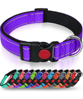 Taglory Reflective Dog collar with Safety Locking Buckle, Adjustable Nylon Pet collars for Puppy Dogs, XS, Purple