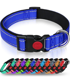 Taglory Reflective Dog collar with Safety Locking Buckle, Adjustable Nylon Pet collars for Small Dogs Female Male, S, Navy Blue