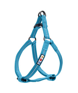 Pawtitas Recycled Dog Harness with Reflective Stitched a Puppy Harness Made from Plastic Bottles Collected from Oceans Extra Small Teal Turquoise Wave