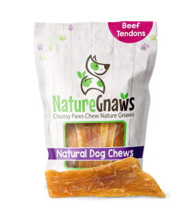 Nature Gnaws - Paddywack Tendons for Dogs - Premium Natural Beef Dental Bones - Long Lasting Dog Chew Treats for Medium & Large Dogs - Rawhide Free