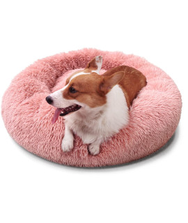 nononfish Medium Size Dog Bed Warming Convertible Cuddle Bed Anti-Anxiety and Joint Relief Modern Pet Bed