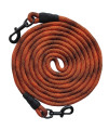 BTINESFUL Tie-Out Check Cord Long Rope Dog Leash, 8ft 12ft 20ft 30ft 50ft Recall Training Lead Leash- Great for Large Medium Small Dogs Training, Playing, Camping, or Backyard (20ft, Orange Black)