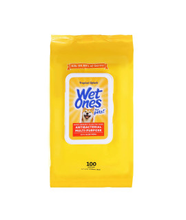 Wet Ones for Pets Multi-Purpose Dog Wipes with Aloe Vera Dog Wipes for All Dogs in Tropical Splash Wipes for Dog Paws & All Over Use 100 Ct Pouch Dog Wipes FF12843 100 Count