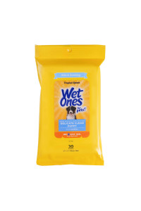 Wet Ones for Pets Delicate Clean Puppy Cleaning Wipes with Oatmeal Mild & Soothing Puppy Grooming Wipes in Tropical Splash Scent, Wipes with Wet Lock Seal 30 Ct Pouch Dog Wipes (FF12845)