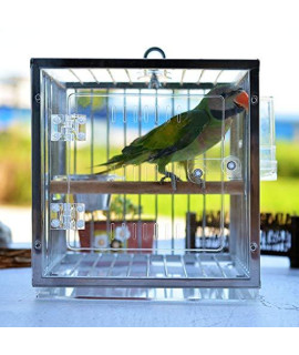YHRJ Flight cage for Parakeets Bird cagesOutdoor Bird cages for ParakeetsSmall Iron Bird cage Household Outdoor Thrush Bird cage Love Bird Parrot Squirrel Easy to carry (color : Silver A)