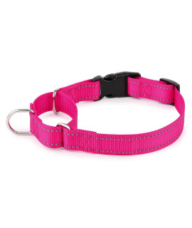 PLUTUS PET Reflective Martingale Collar with Quick Snap Buckle,No Pull Dog Choker Collar for Small Medium Large Dogs,L,Hot Pink