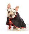 Impoosy Pet Halloween Dog Hoodies Funny Cat Wizard Costume Cute Apparel Soft Shirts Clothes with Glasses (Small,Neck:12)