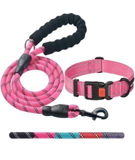 Ladoogo Heavy Duty Dog Leash - Comfortable Padded Handle, 5 ft Long - Dog Leashes for Small Medium Large Dogs (Leash+Collar S Neck 13.5-16, Pink)