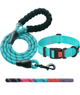Ladoogo Heavy Duty Dog Leash - Comfortable Padded Handle, 5 ft Long - Dog Leashes for Small Medium Large Dogs (Leash+Collar S Neck 13.5-16, Blue)