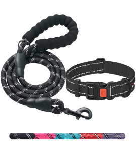 Ladoogo Heavy Duty Dog Leash - Comfortable Padded Handle, 5 ft Long - Dog Leashes for Small Medium Large Dogs (Leash+Collar M Neck 16-20, Black)