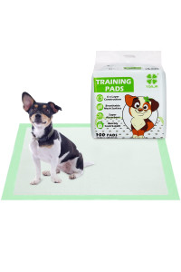 YORJA Puppy Training Pads 50 Pack-24 x 24 Super Absorbent Large Dog Pee Pads with Breathable Mesh Surface
