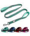 Black Rhino Dog Leash - Heavy Duty - Medium & Large Dogs | 5ft Long Leashes | Two Traffic Padded Comfort Handles for Safety Control Training - Double Handle Reflective Lead - (5 Ft, Aqua/Gr)