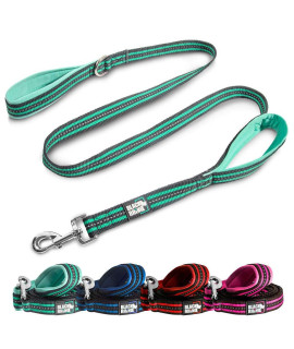 Black Rhino Dog Leash - Heavy Duty - Medium & Large Dogs | 5ft Long Leashes | Two Traffic Padded Comfort Handles for Safety Control Training - Double Handle Reflective Lead - (5 Ft, Aqua/Gr)