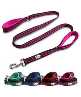 Black Rhino Dog Leash - Heavy Duty - Medium & Large Dogs 5ft Long Leashes Two Traffic Padded Comfort Handles for Safety Control Training - Double Handle Reflective Lead - (5 Ft, Pink/Bl)