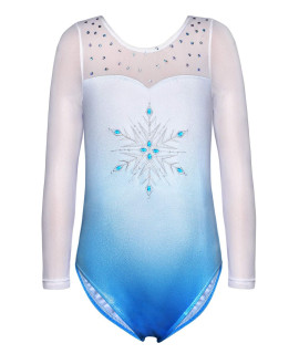 Froze leotards for toddlers toddler girls long sleeve 2t 3t blue snowflakes embroidery embroidered gradients