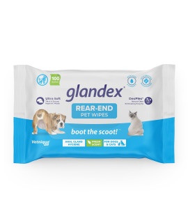 Vetnique Labs glandex Dog Wipes for Pets cleansing & Deodorizing Anal gland Hygienic Wipes for Dogs & cats with Vitamin E, Skin conditioners and Aloe (100ct Pouch)