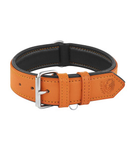 Riparo Orange Dog Collar, Leather Dog Collar with Dog Tag Holder, Small Dog Collar for Small Dogs (S, Orange)
