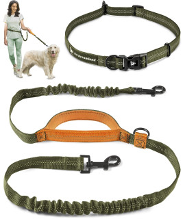 Exquisite Hands Free Dog Leash for Large Dogs | Leash for Running, Walking, Hiking, Cycling and Training | Bungee Harness with Adjustable Waist Belt, Padded Handle and Reflective Stitching |
