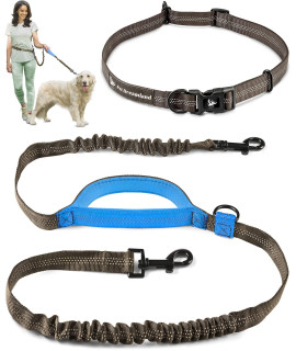 Exquisite Hands Free Dog Leash for Running, Walking, Hiking, Cycling and Training | Bungee Harness with Adjustable Waist Belt, Padded Handle and Reflective Stitching | for Large Dogs
