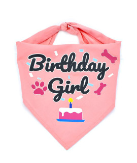 Bubblepup Dog Birthday Bandana, Dog Birthday Bandana boy Girl, Happy Birthday Dog Bandana for Girls and Boys