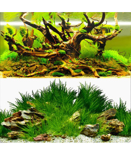 ELEBOX New 20 x 48 Fish Tank Background Paper Wallpaper 2 Sided Colorful Seaweed Water Plants Aquarium Poster Decorations